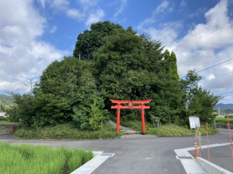 高い山・低い山 | その他